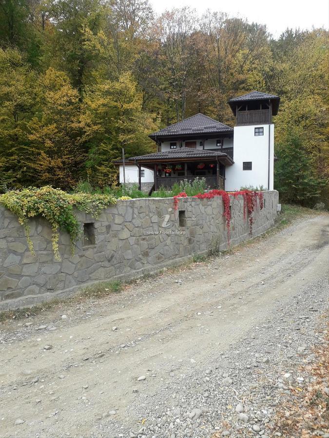 Casa Cu Turn Sărata-Monteoru Exterior foto